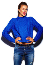 Load image into Gallery viewer, test-1 3 level Berry Casual Women's Sweater suvi1